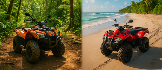 Beach or Jungle: Which Route Should You Take?