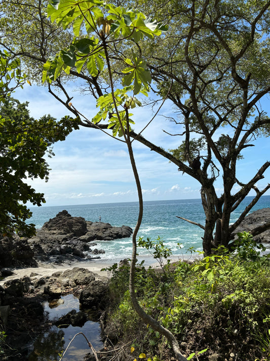Beautiful beach view in Santa Teresa, Costa Rica